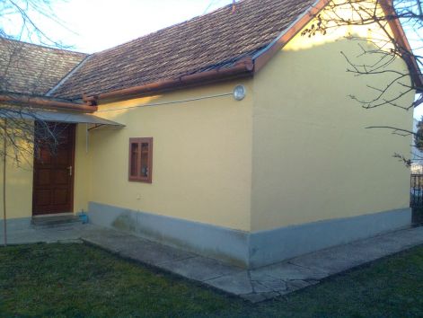 kakics_008.jpg