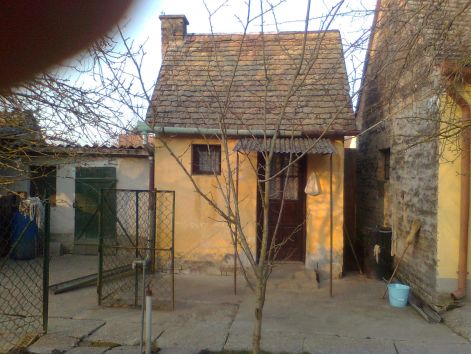 kakics_021.jpg