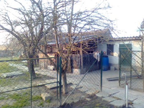 kakics_022.jpg